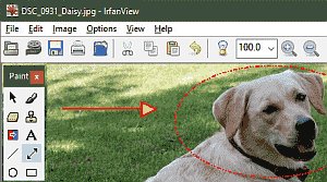 IrfanView: A Lightweight Yet Powerful Tool for Viewing and Editing Images